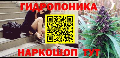 гидра Бийск