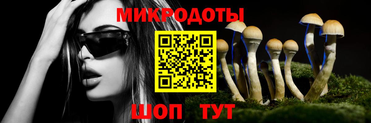 Галлюциногенные грибы Cubensis  Псилоцибиновые грибы Psilocybe  Вход с VPN  Кандалакша 